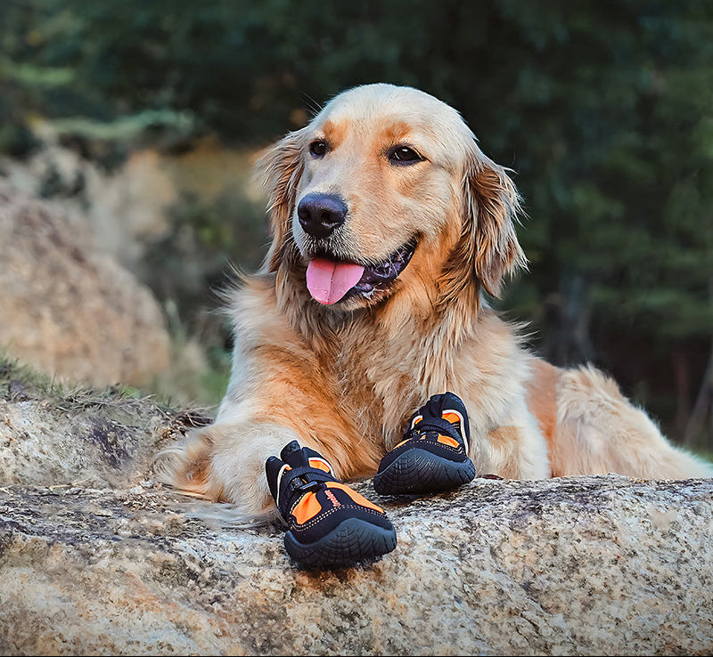 Waterproof Dog Hiking Boots — Non-Slip Paw Protection (Set of 4)